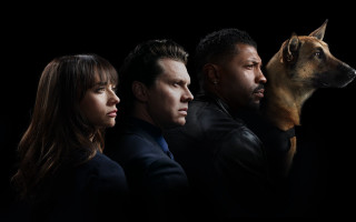 People dog dark background group - serial free wallpaper for desktop