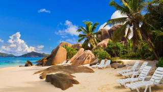 Beach chairs palm trees mountain - art free wallpaper for desktop
