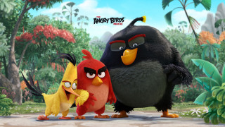 Angry birds cartoon road trees - angry bird free wallpaper
