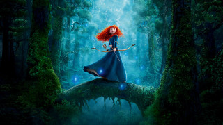 Woman blue dress tree branch 3 - a tree branch in a forest free wallpaper