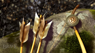 Spiral arrows rock moss nature - david paton free wallpaper