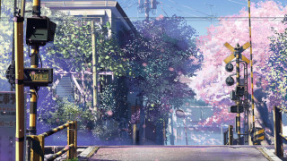 Street traffic light trees building - evgeny lushpin free wallpaper