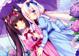 Anime girls umbrella rain flowers - under free wallpaper
