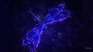 Blue butterfly glowing wings starry 2 - a blue butterfly free wallpaper