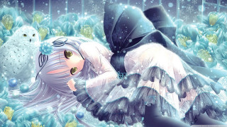 Girl laying snow owl bird - nearby free wallpaper