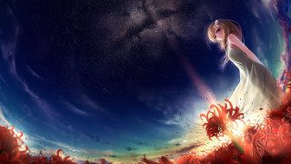 Woman white dress flower field 7 - under free wallpaper for desktop