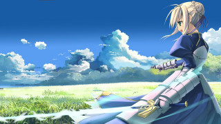 Woman blue dress grass field - a grass field free wallpaper