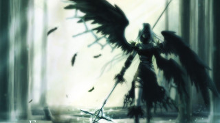 Woman wings sword forest birds - bird free wallpaper