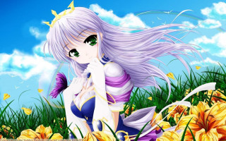 Girl long hair field flowers - a blue sky behind her free wallpaper