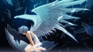 Angel wings blue background anime - white star free wallpaper