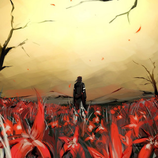 Man field flowers sunset bird - a field of flowers free wallpaper