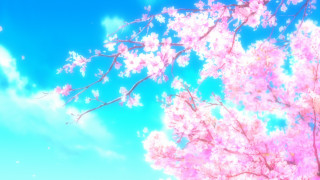Pink tree blue sky clouds - aya goda free wallpaper