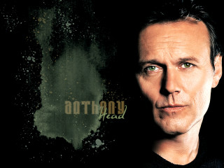 Man serious green background bottom - bottom free wallpaper
