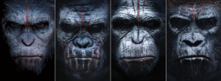 Monkey face blood side series - primitivism free wallpaper