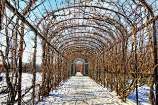 Walkway branches snow sky building - a walkway free wallpaper