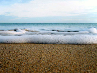 Wave rolls in on sand - ocean free wallpaper