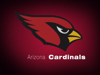 Arizona cardinals red background bird - bird free wallpaper