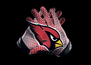 Hand cardinal logo dark background - earnst haeckel free wallpaper