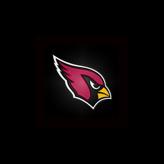 Cardinal logo bird head digital - art fitzpatrick free wallpaper