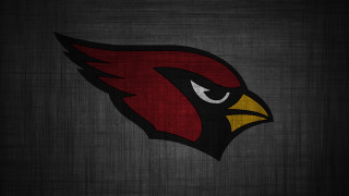 Cardinals logo bird head rain - cleve gray free wallpaper