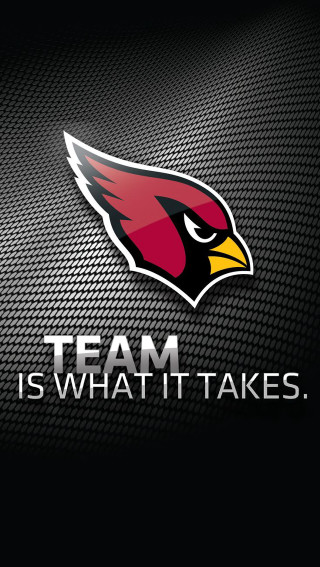Team takes red fishnet checkered - art fitzpatrick free wallpaper