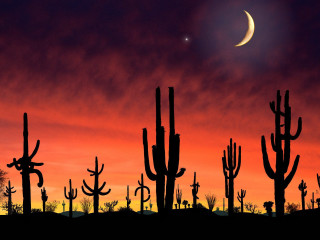 Full moon desert cacti sunset 2 - american scene painting free wallpaper