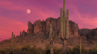 Full moon mountain cactus pink - full free wallpaper