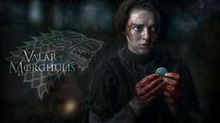 Woman holding cell phone wolf - a wolf free wallpaper