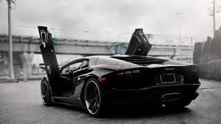 Black sports car parked side - its door free wallpaper