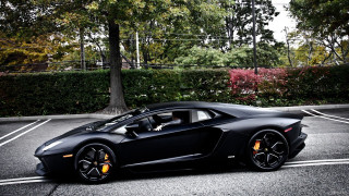 Black sports car parking lot 36 - a tree and bushes free wallpaper