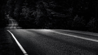 Black white road trees stop - the side of the road free wallpaper