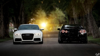 Two cars parked night trees - the car free wallpaper