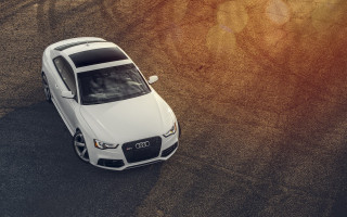 White car driving road forest 2 - anthony s waters free wallpaper