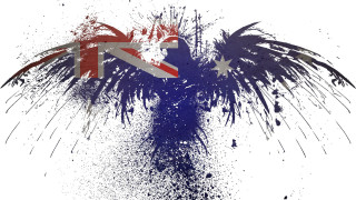 Bird flag blue white red - free new year wallpaper