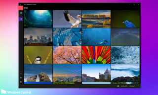 Computer screen bird flying pictures - head free wallpaper