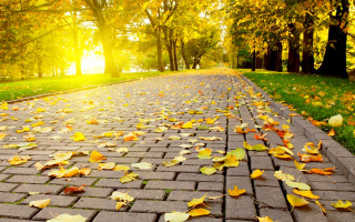 Brick road fall leaves sunshine - the fall season free wallpaper