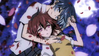 Anime couple blood petals moon - a purple background free wallpaper