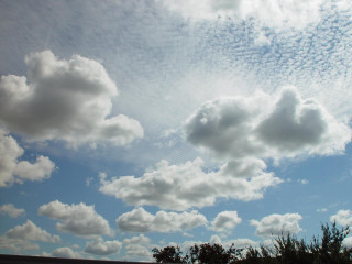 Blue sky clouds trees foreground 10 - free sky wallpaper
