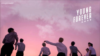 Kite flying group pink sky - young free wallpaper