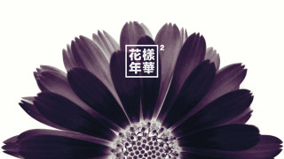 Flower white background chinese writing - a flower free wallpaper