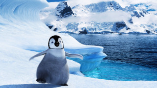 Penguin snow hill water mountain 2 - a penguin free wallpaper