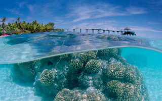 Coral reef pier boat water - the water below free wallpaper