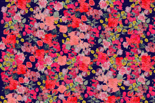 Floral pattern colorful flowers black - a floral pattern free wallpaper