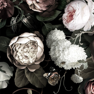 Black white floral wallpaper butterfly - digital painting free wallpaper