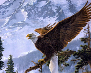 Eagle perched tree mountain snow - the distance free wallpaper