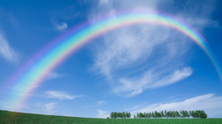Rainbow field grass trees sunny - vivid free wallpaper