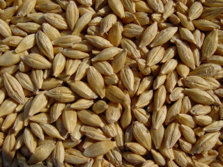 Oats banana peel table fruit - heavy free wallpaper