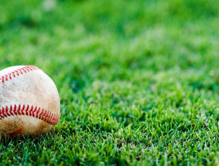 Baseball green field sunny day - grass free wallpaper
