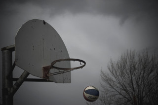Basketball air hoop tree sport - a basketball free wallpaper