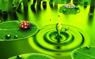 Green pond ladybug leaf lily 2 - photorealistic free wallpaper